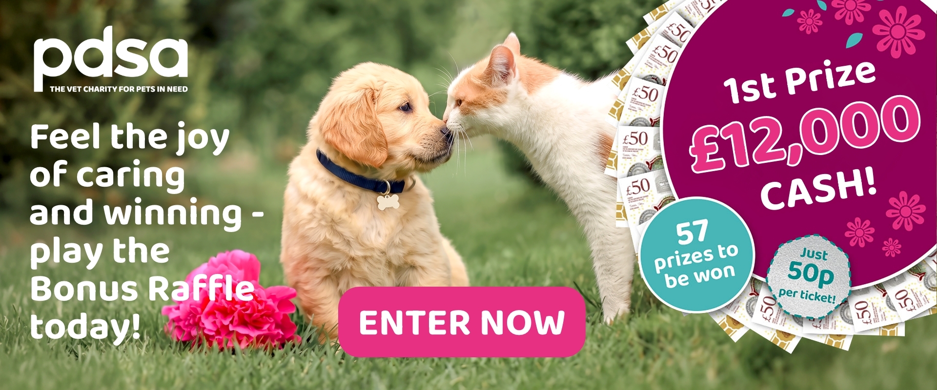 PDSA Banner Q2 2026